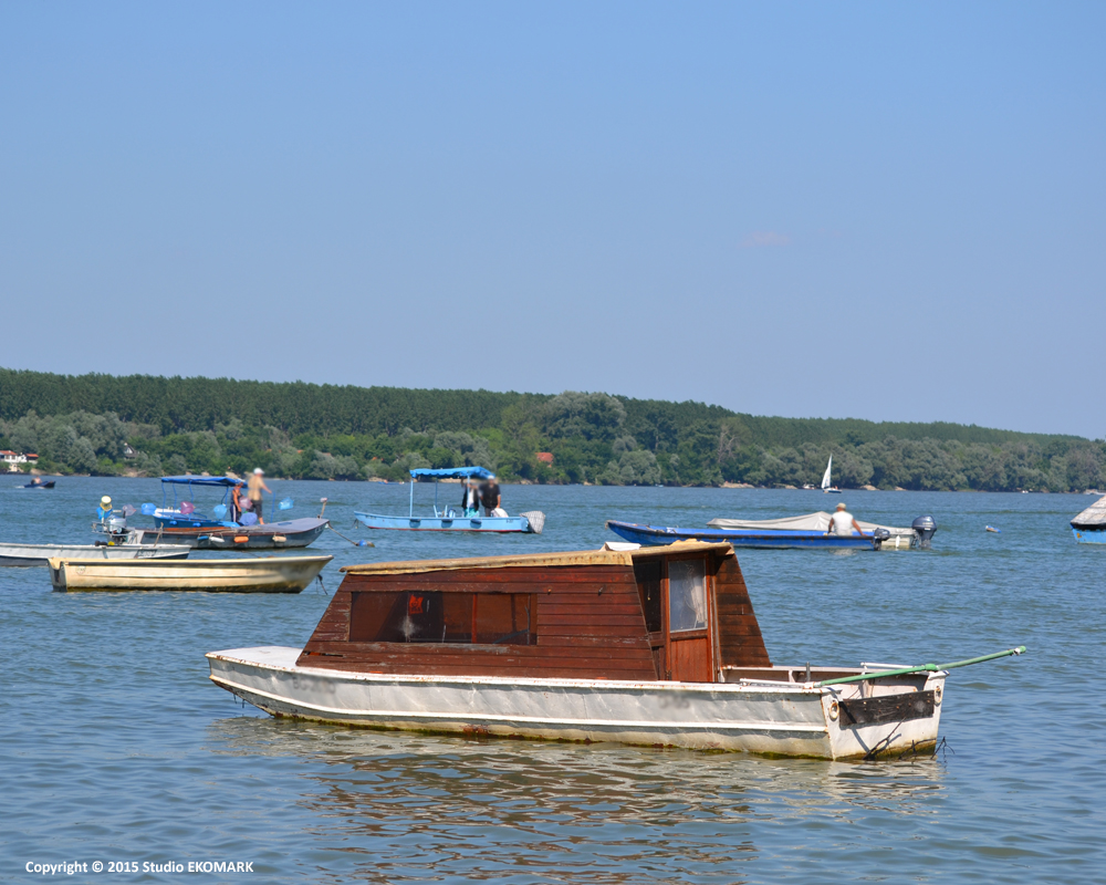 dunav-u-beogradu