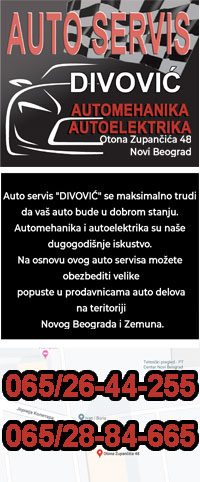 Automehaničar divović