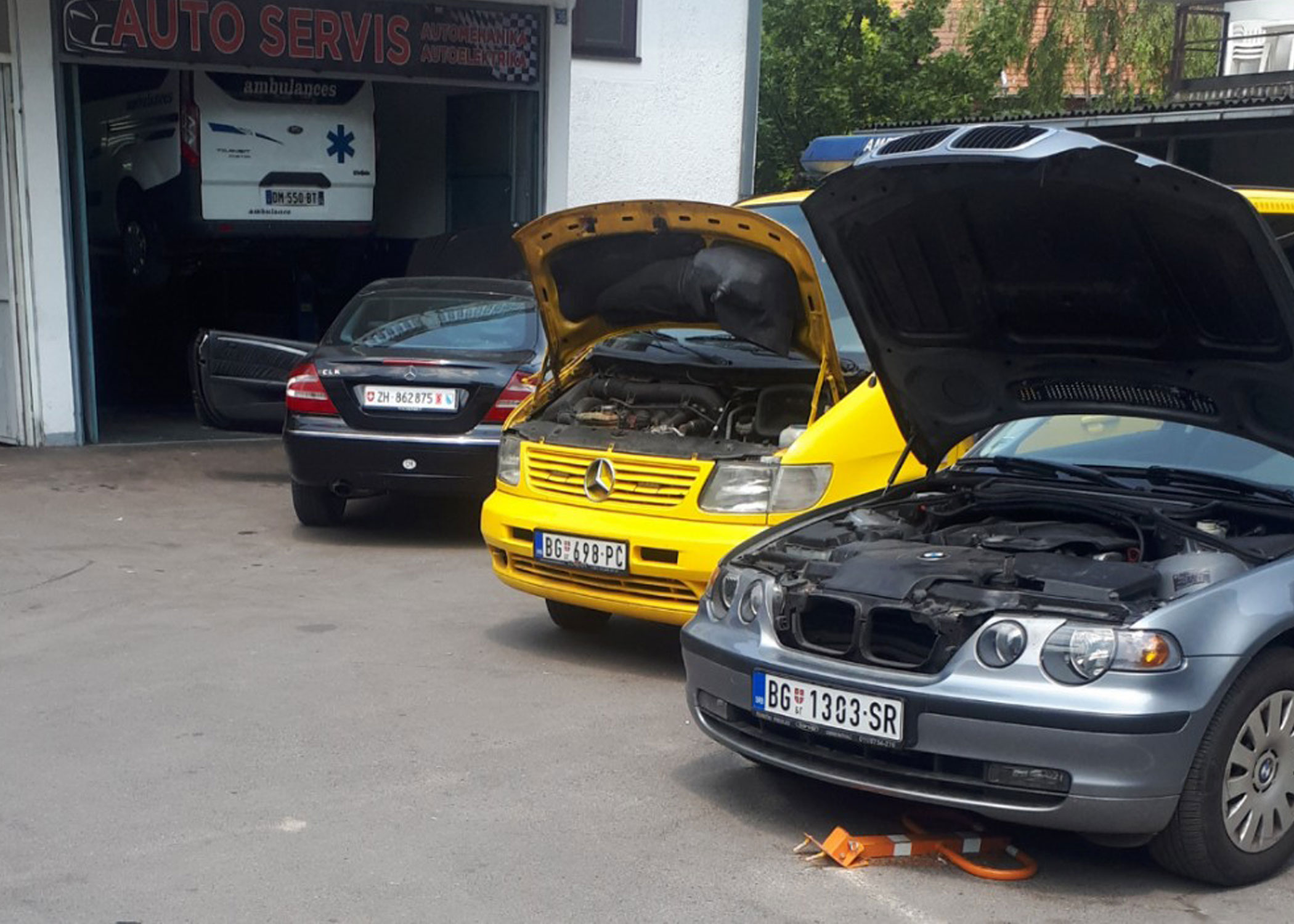 DIVOVIĆ