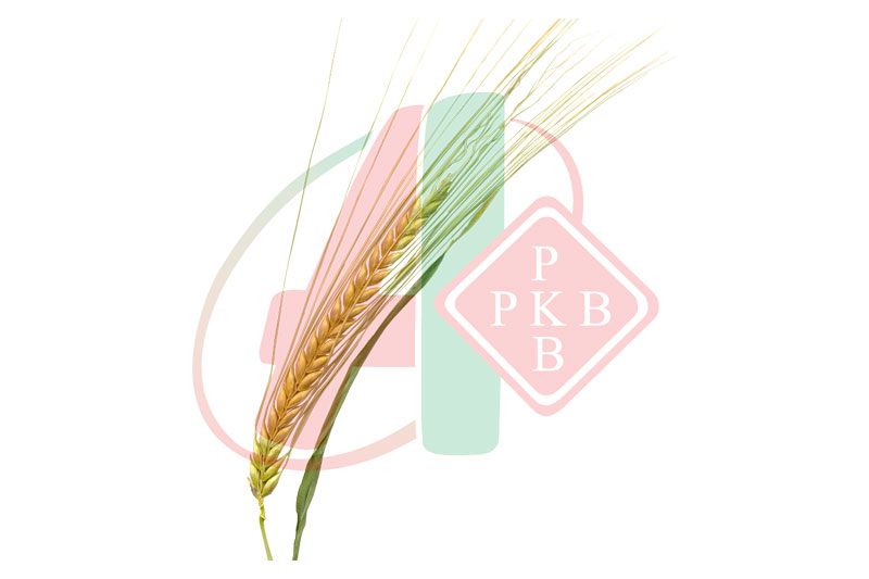 PKB Agroekonomik-Beograd