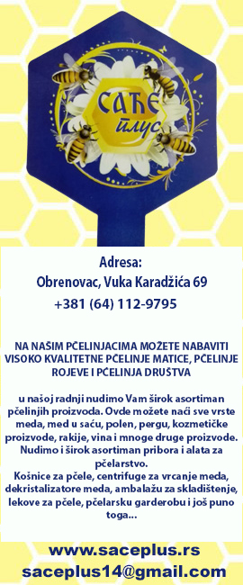 Saće plus Obrenovac reklame