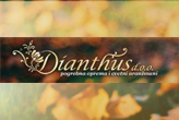 pogrebne usluge Dianthus