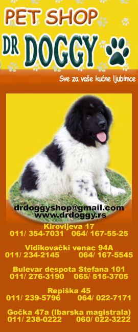 PET SHOP DR DOGGY Beograd ko i gde